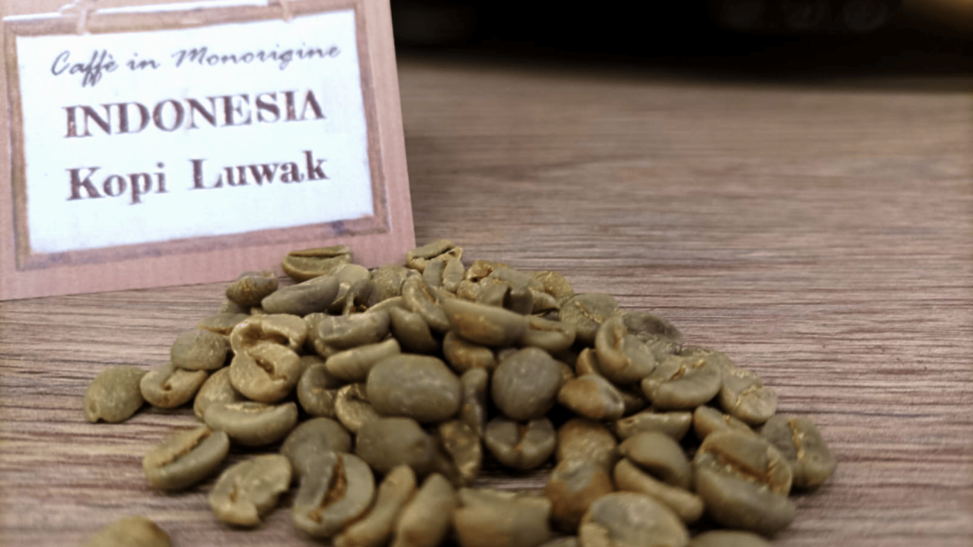 Il Kopi Luwak: Un Caffè Più Unico Che Raro